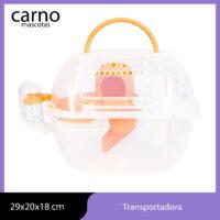 Transportadora Tobogan Rueda