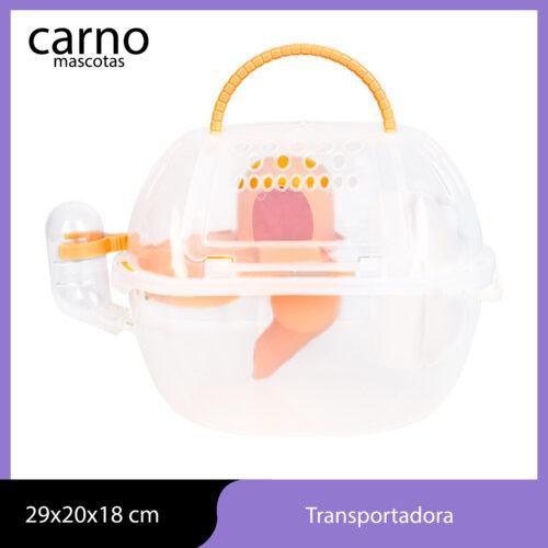 Transportadora Tobogan Rueda