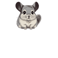 Chinchilla
